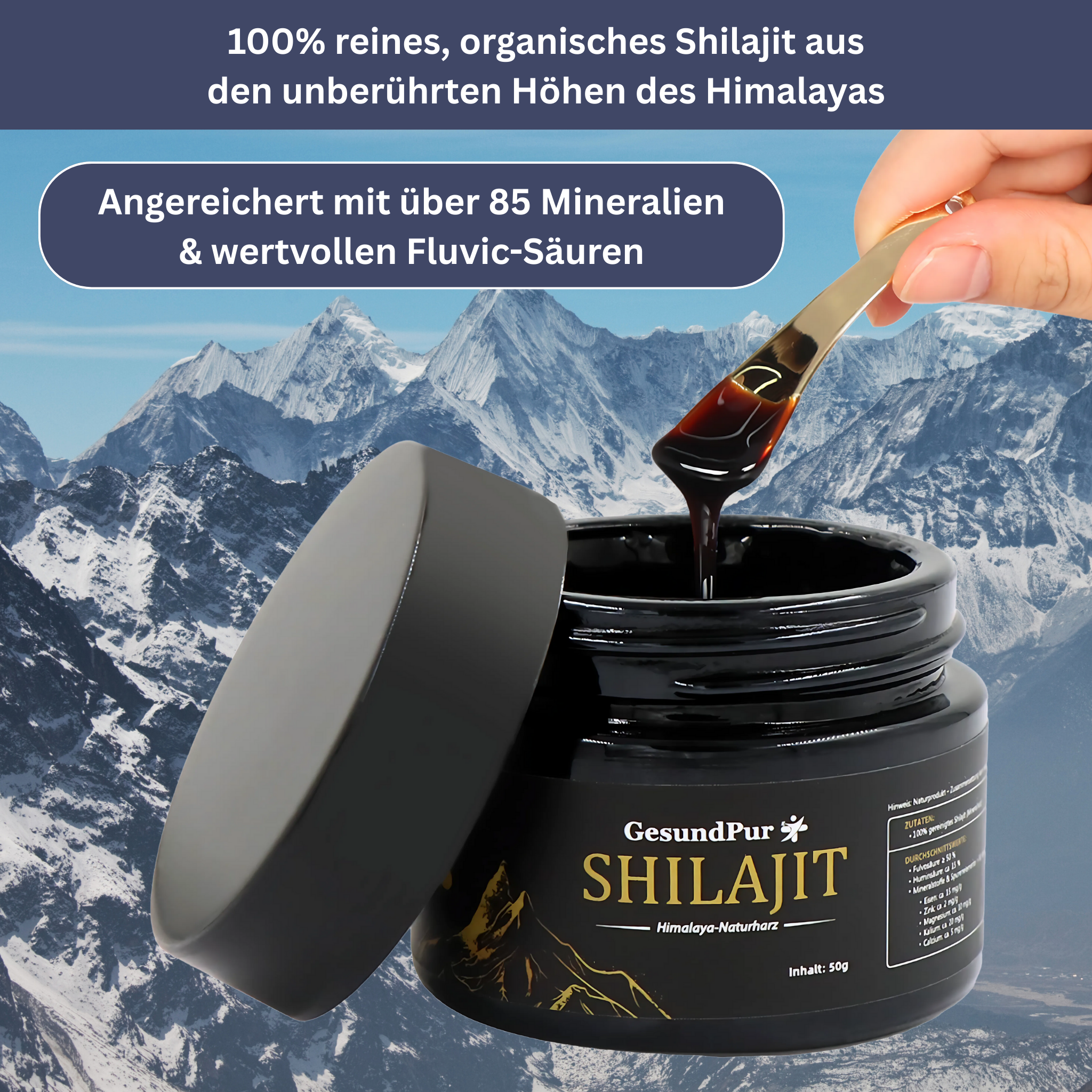 Shilajit - Das Original