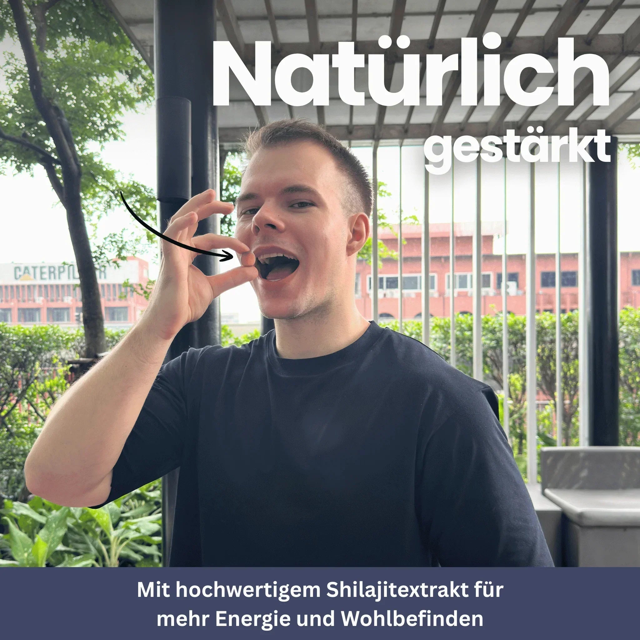 Shilajit Gold Gummies