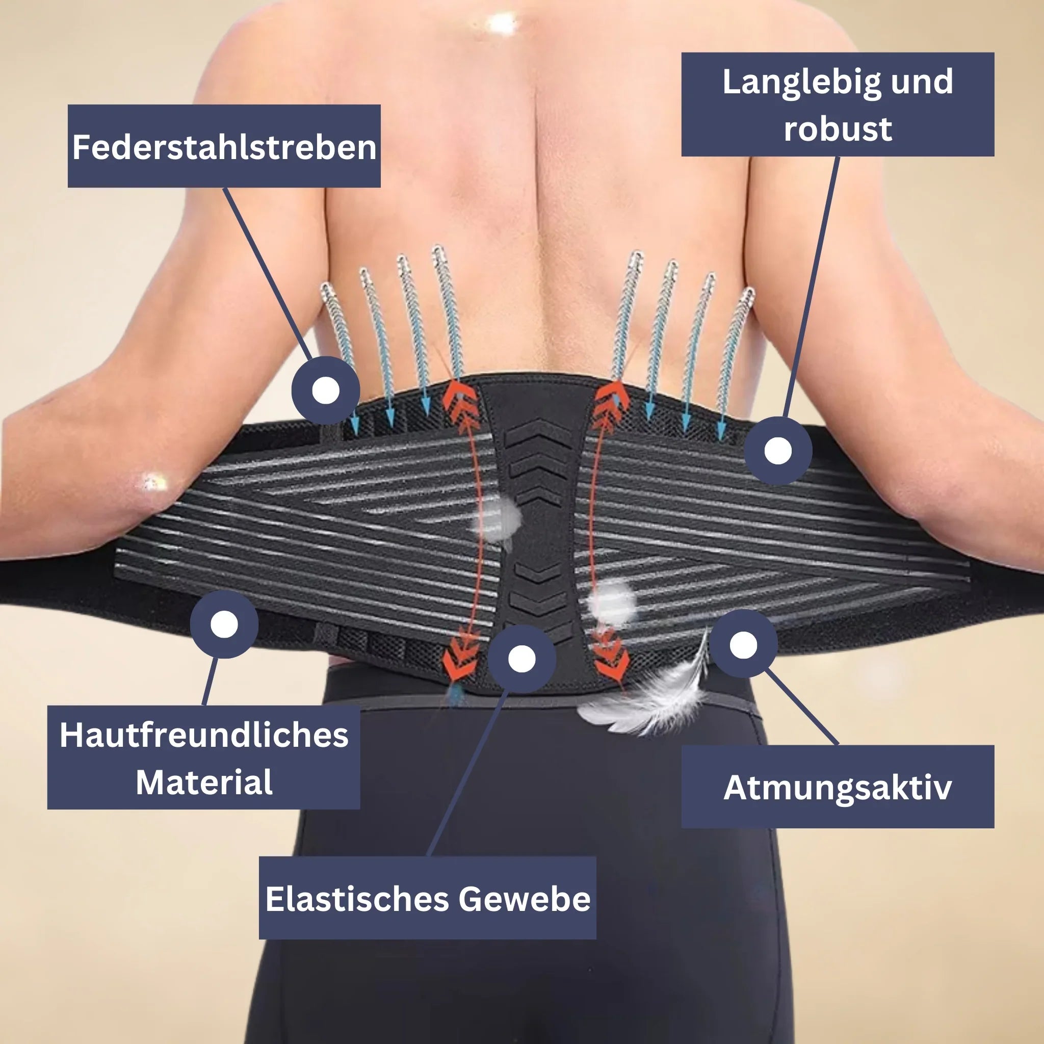 SpineGuard Pro Back Support Belt