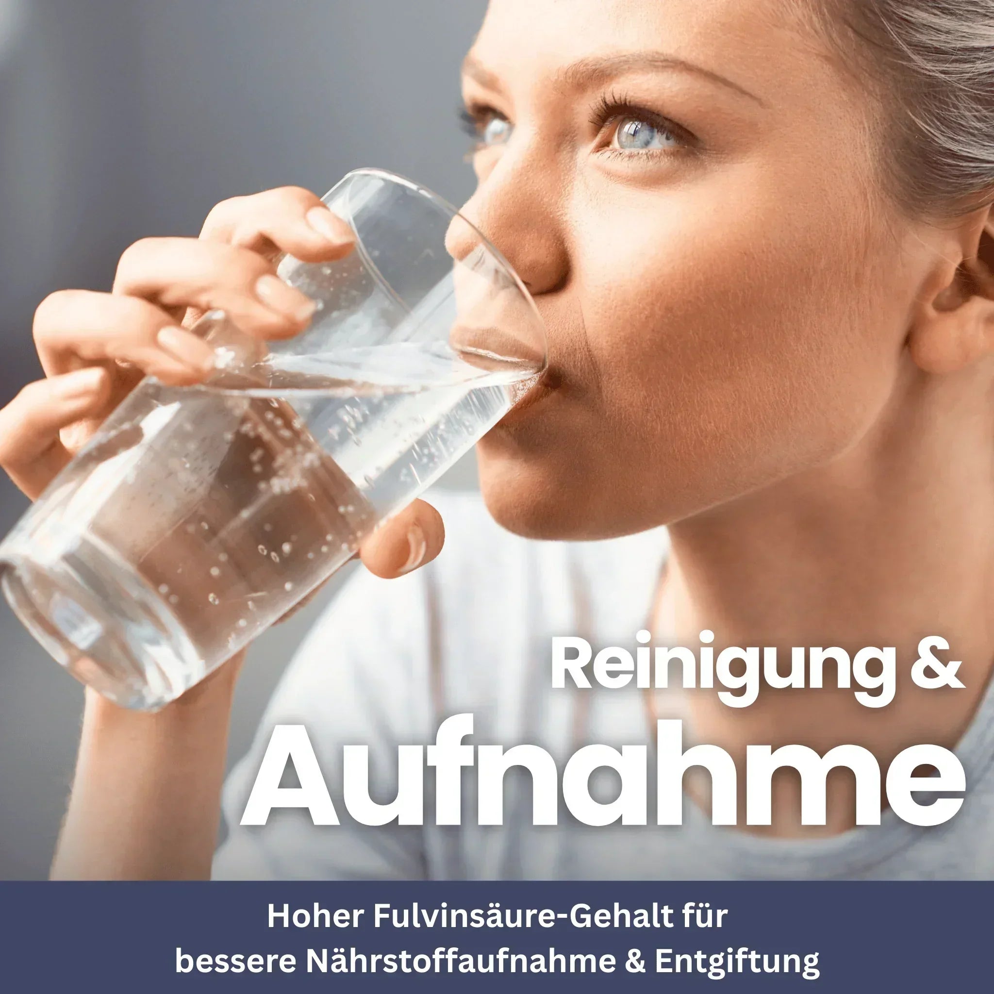 Shilajit Honig Sticks