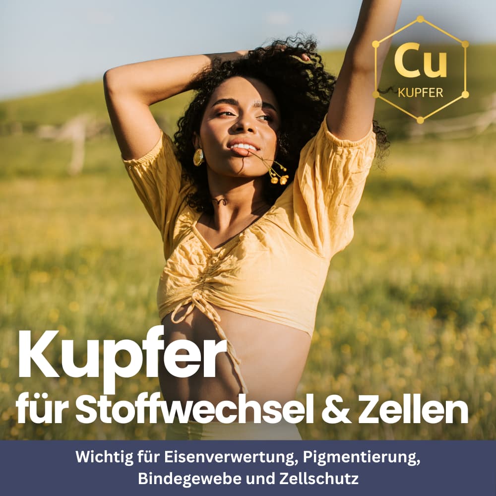 Rinderleber-Kapseln – Energie & Vitalität