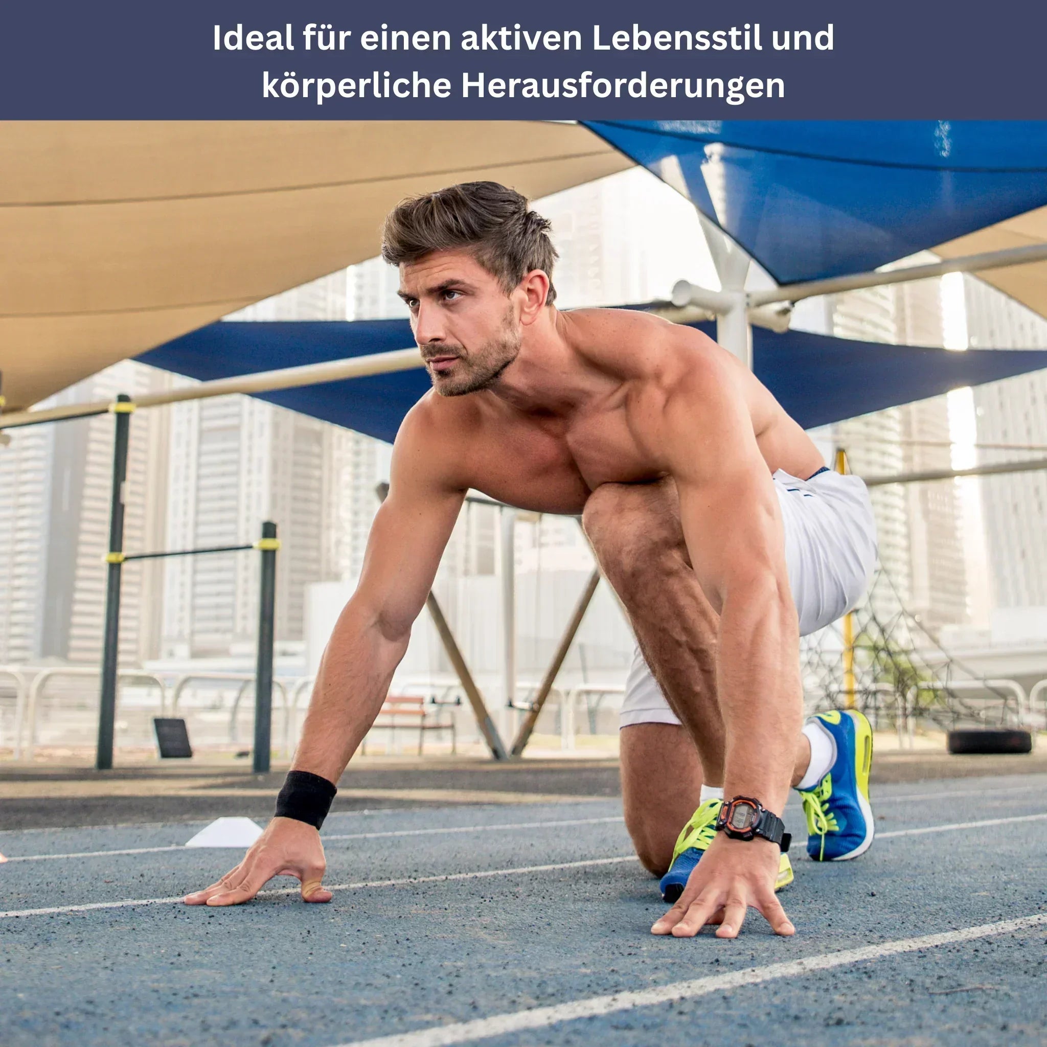 Shilajit - Das Original