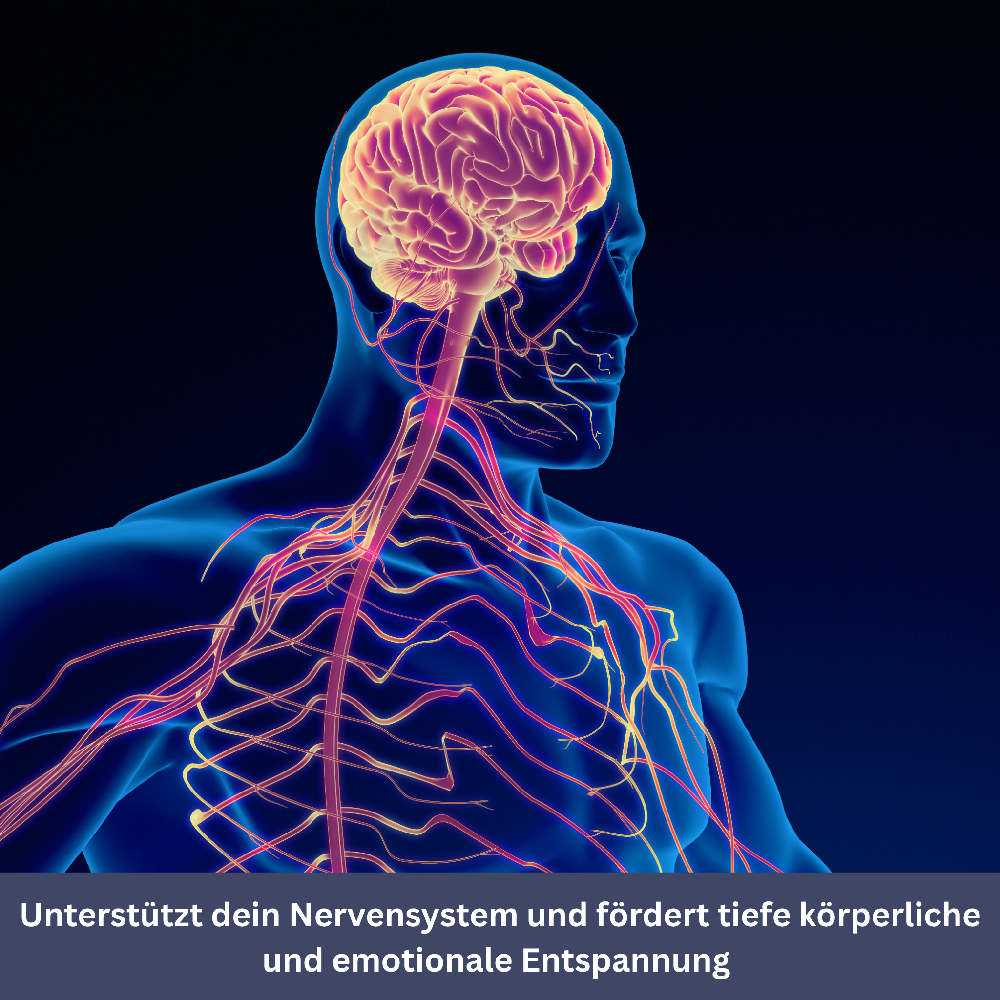 FrequenSana – Deep Relaxation Through 128 Hz Frequency Therapy