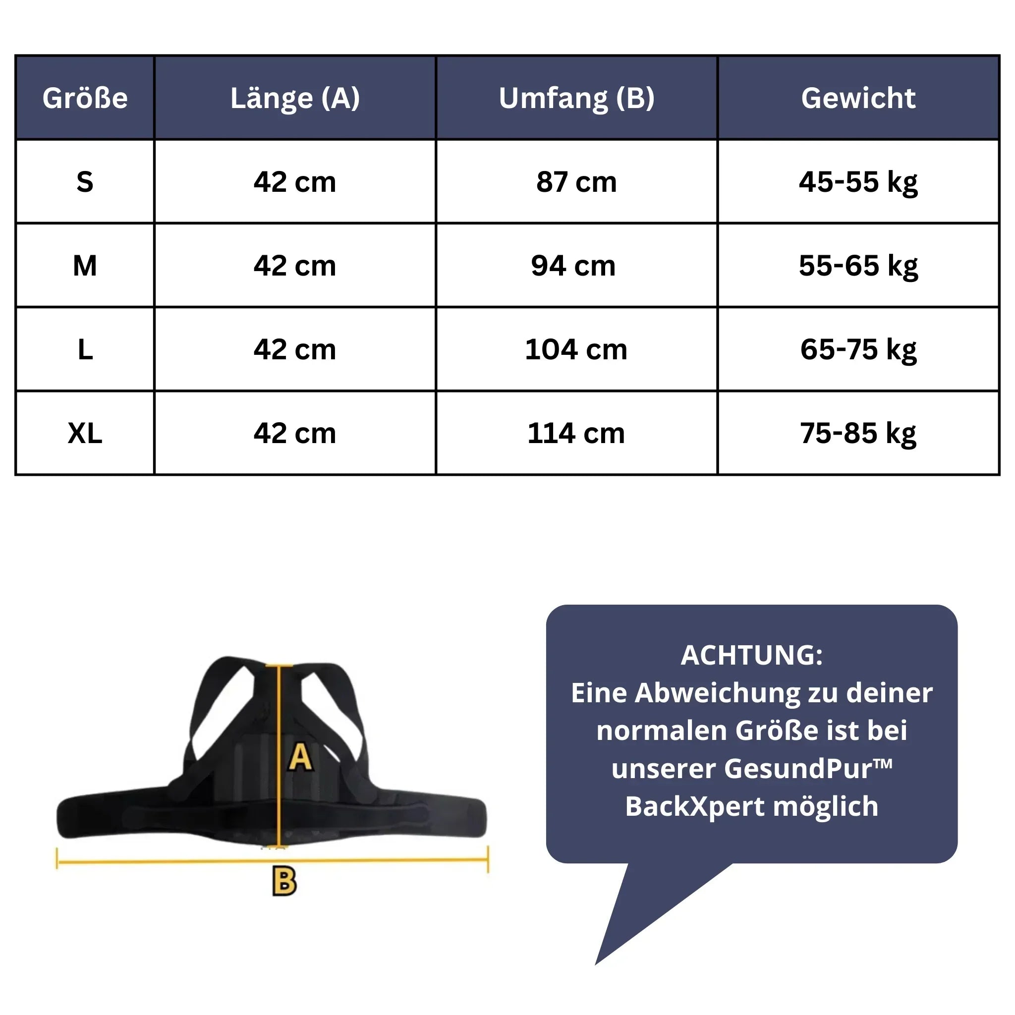 BackXpert Rückenstützgurt