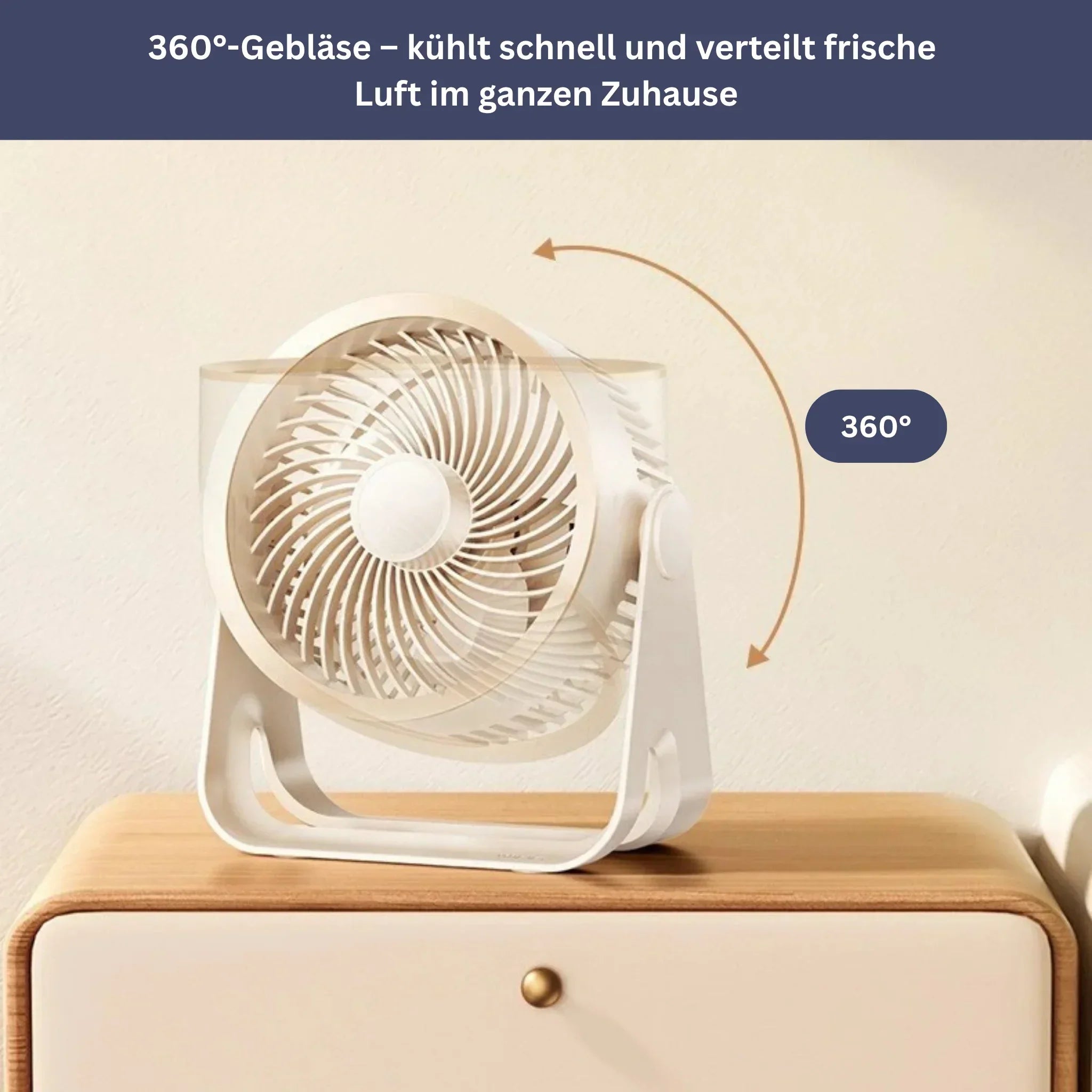3-in-1 Fan with Oscillation Function