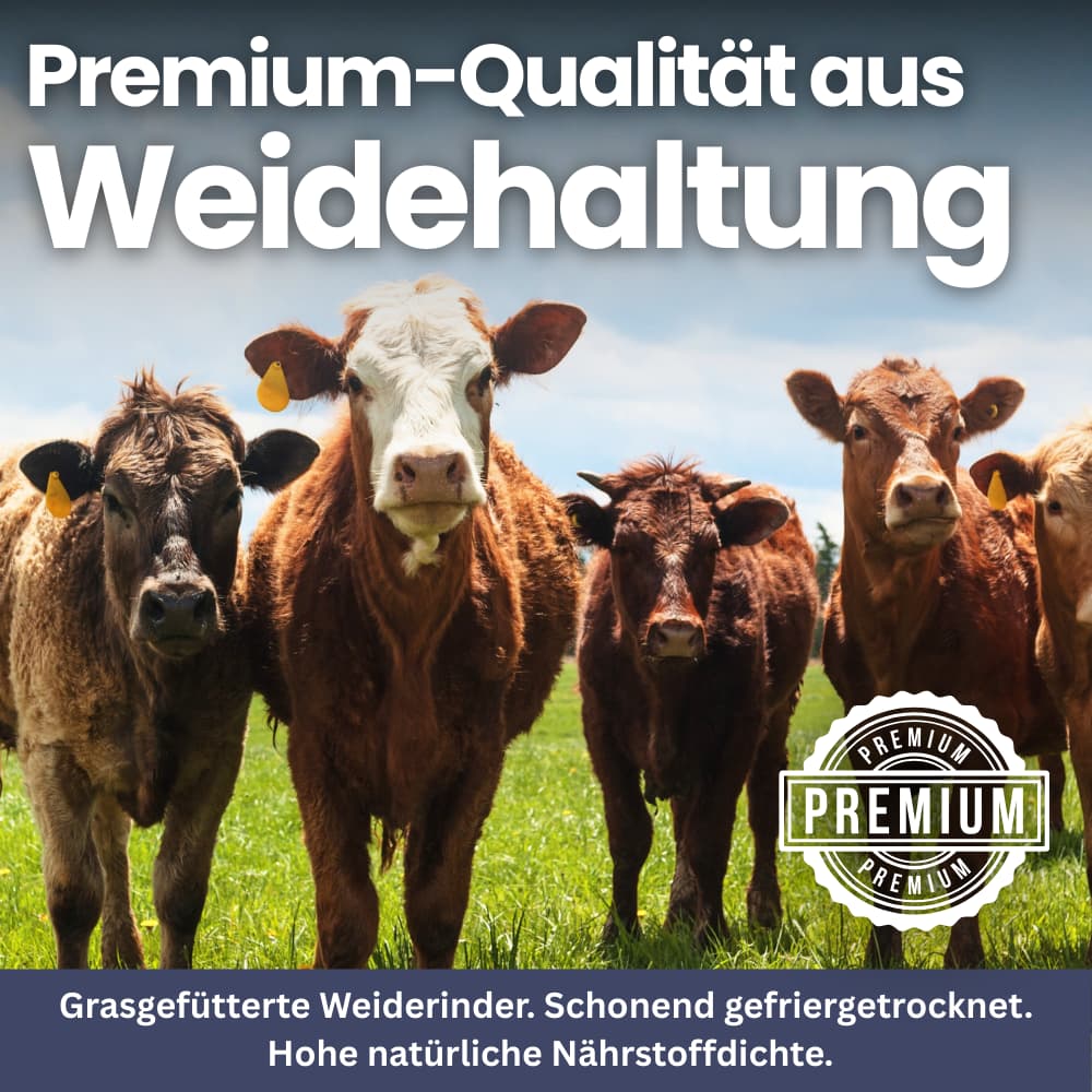 Rinderleber-Kapseln – Energie & Vitalität